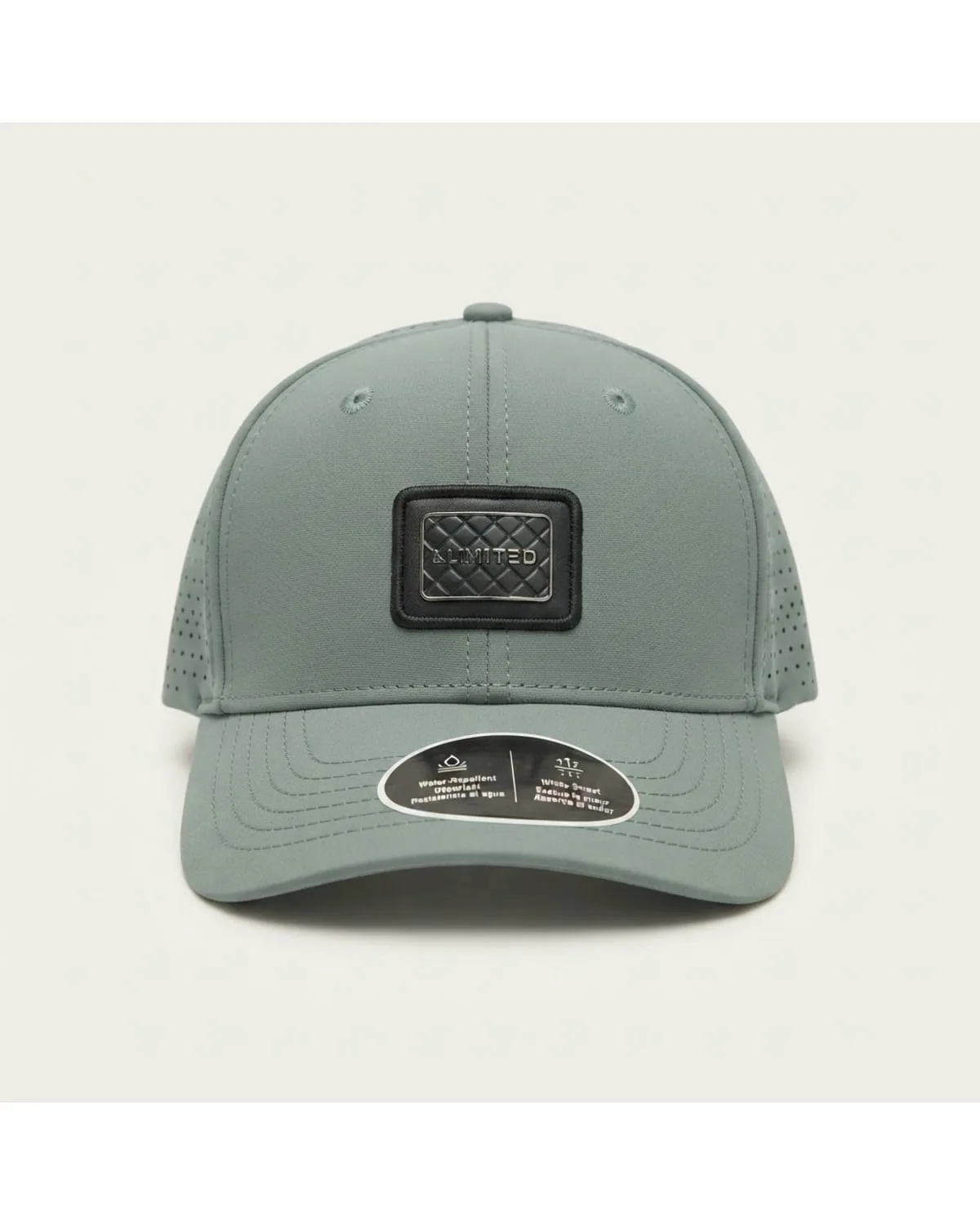Limited Edition Premium Snapback Cap 1